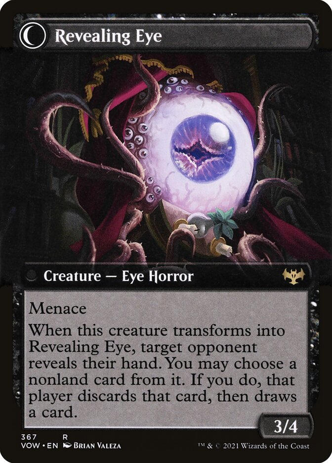Concealing Curtains // Revealing Eye (Extended Art) back