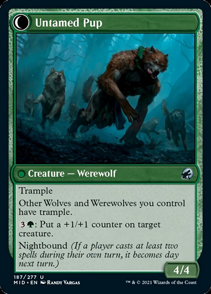 Hound Tamer // Untamed Pup back
