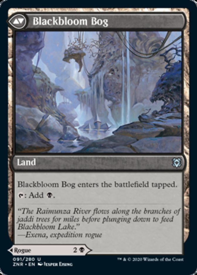 Blackbloom Rogue // Blackbloom Bog back