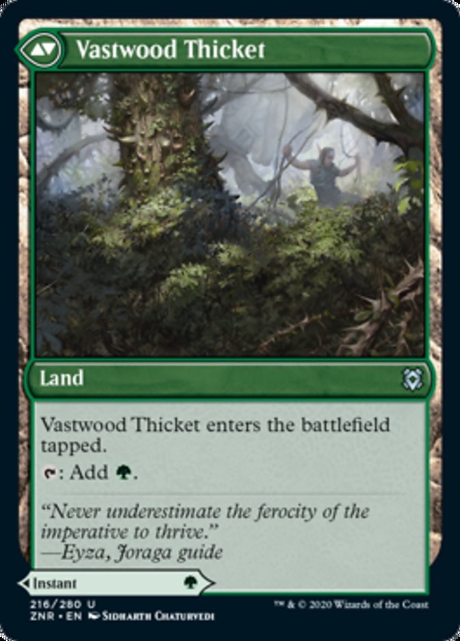 Vastwood Fortification // Vastwood Thicket back