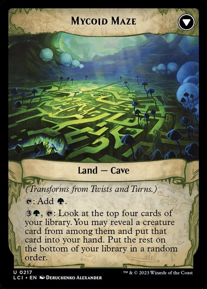 Twists and Turns // Mycoid Maze back