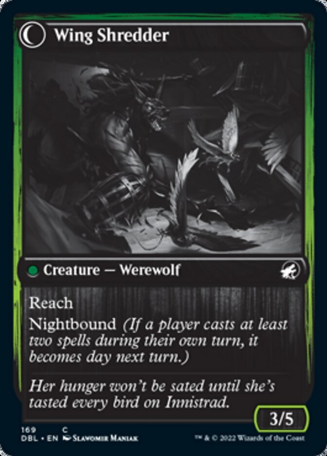 Bird Admirer // Wing Shredder back