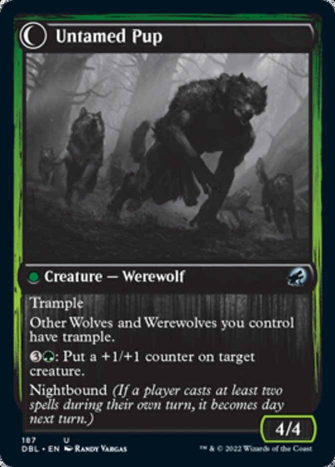 Hound Tamer // Untamed Pup back