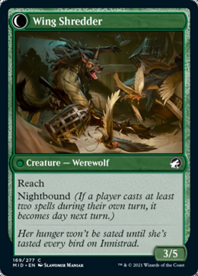 Bird Admirer // Wing Shredder back