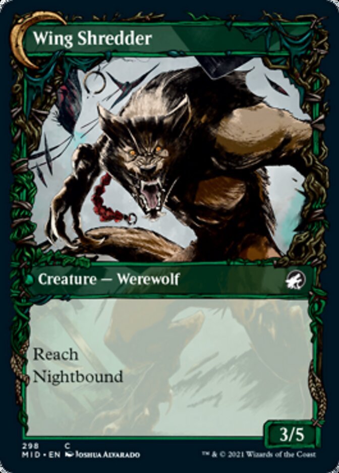 Bird Admirer // Wing Shredder (Showcase) back