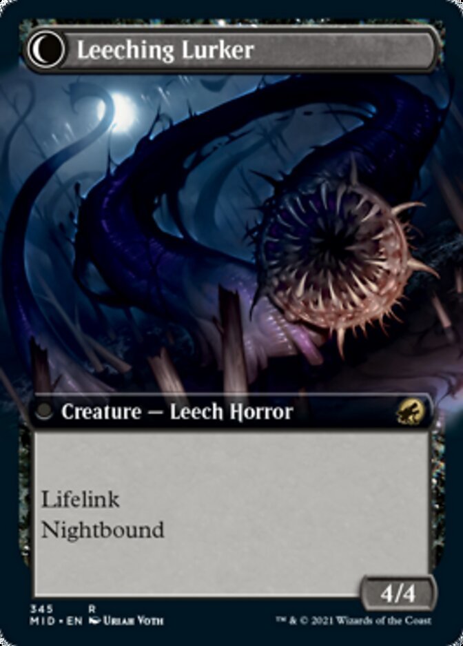 Curse of Leeches // Leeching Lurker (Extended Art) back