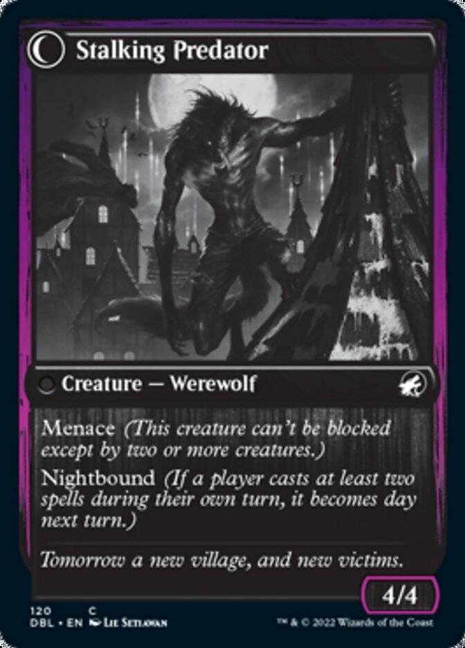 Shady Traveler // Stalking Predator back