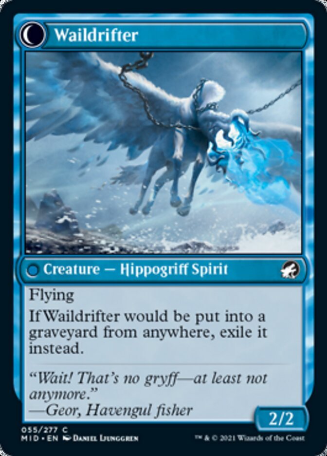 Galedrifter // Waildrifter back
