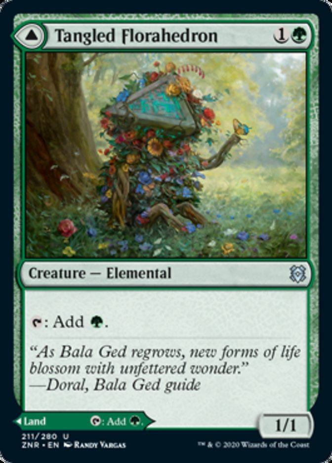 Tangled Florahedron // Tangled Vale front