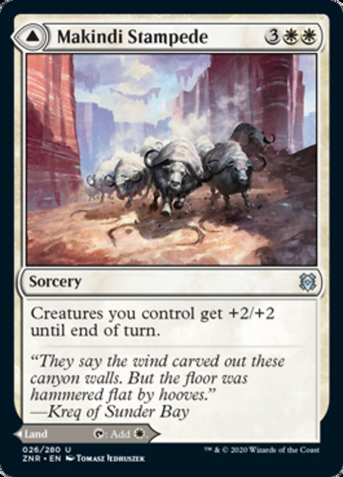 Makindi Stampede // Makindi Mesas front